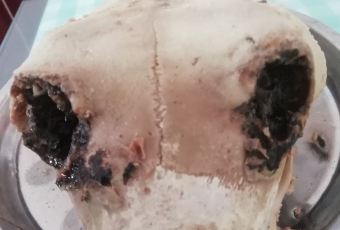 楊老五羊肉粉湯用戶圖片