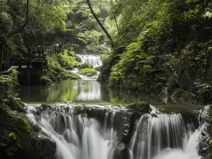 Black Valley