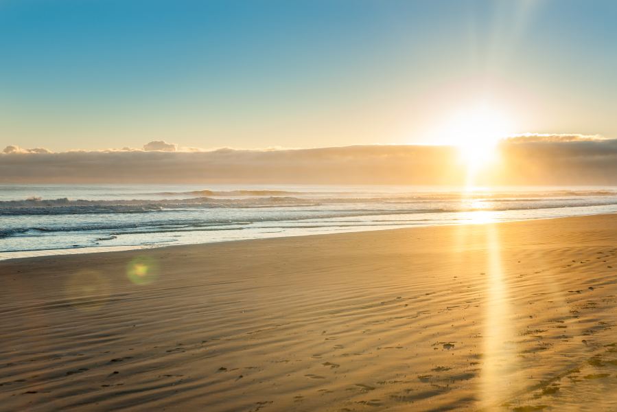 Newcastle to Whakatane Flights