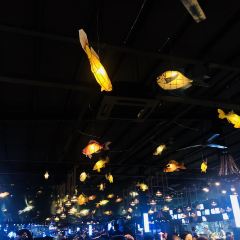 黄龙海鲜大排档(杭州总店) User Photo
