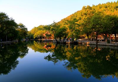 Longquan Park (East Gate)