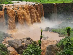 Cataratas del Nilo Azul