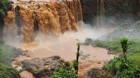 Blue Nile Falls