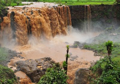 Blue Nile Falls