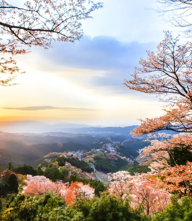Yoshino