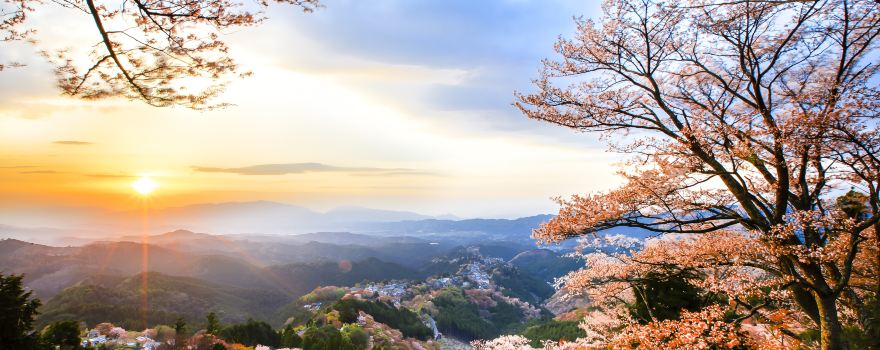 Mount Yoshino