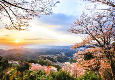 Mount Yoshino