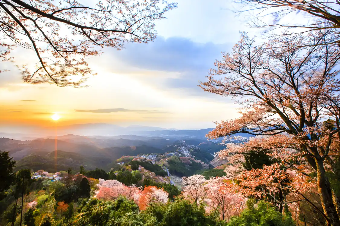 Hotels near Mount Yoshino