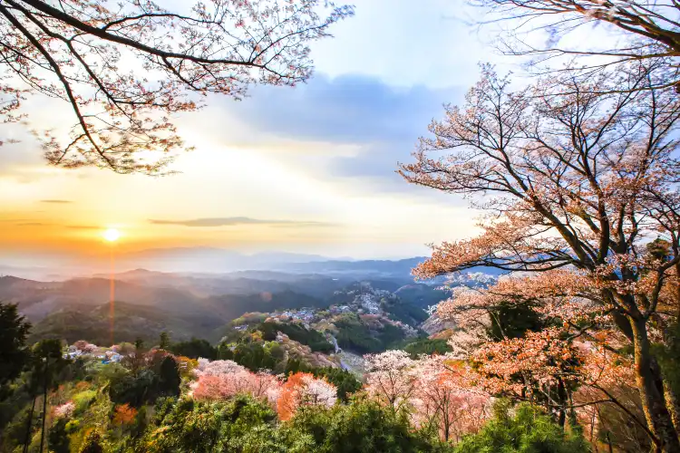 요시노 정 호텔