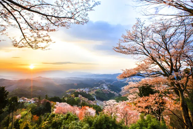 Hotel Fine Garden Nara Horai