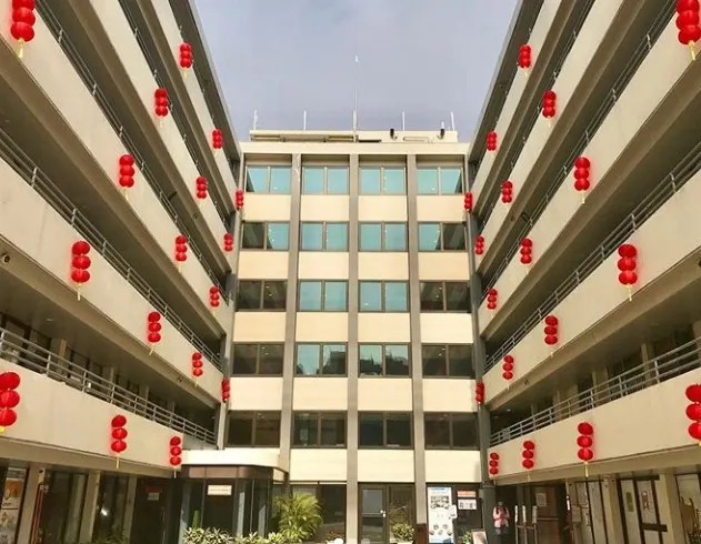 【深水埗好去處】市區輕鬆一日遊 🌇 深水埗美食、景點、影相好去處