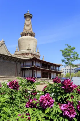 Các đánh giá Cooperation Taoyuan Hotel (Shambala Cultural Plaza)