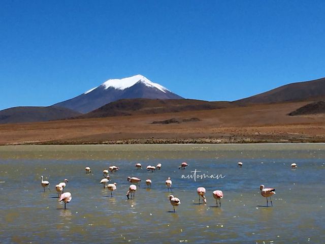 Laguna Hedionda