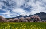 桃花溝風景区