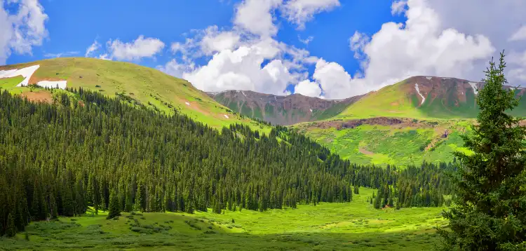 Hotels in Pitkin County