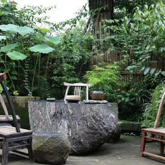 Xue Tao · In the Yard User Photo