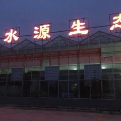 金水源生态餐饮 User Photo
