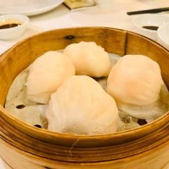 Tung Garden User Photo