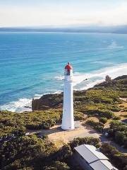 Split Point Lighthouse Tours