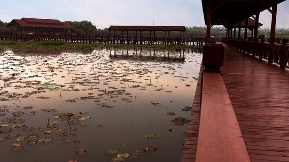 Ningguo Banqiao Nature Reservations