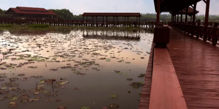 宣城寧國板橋自然保護區