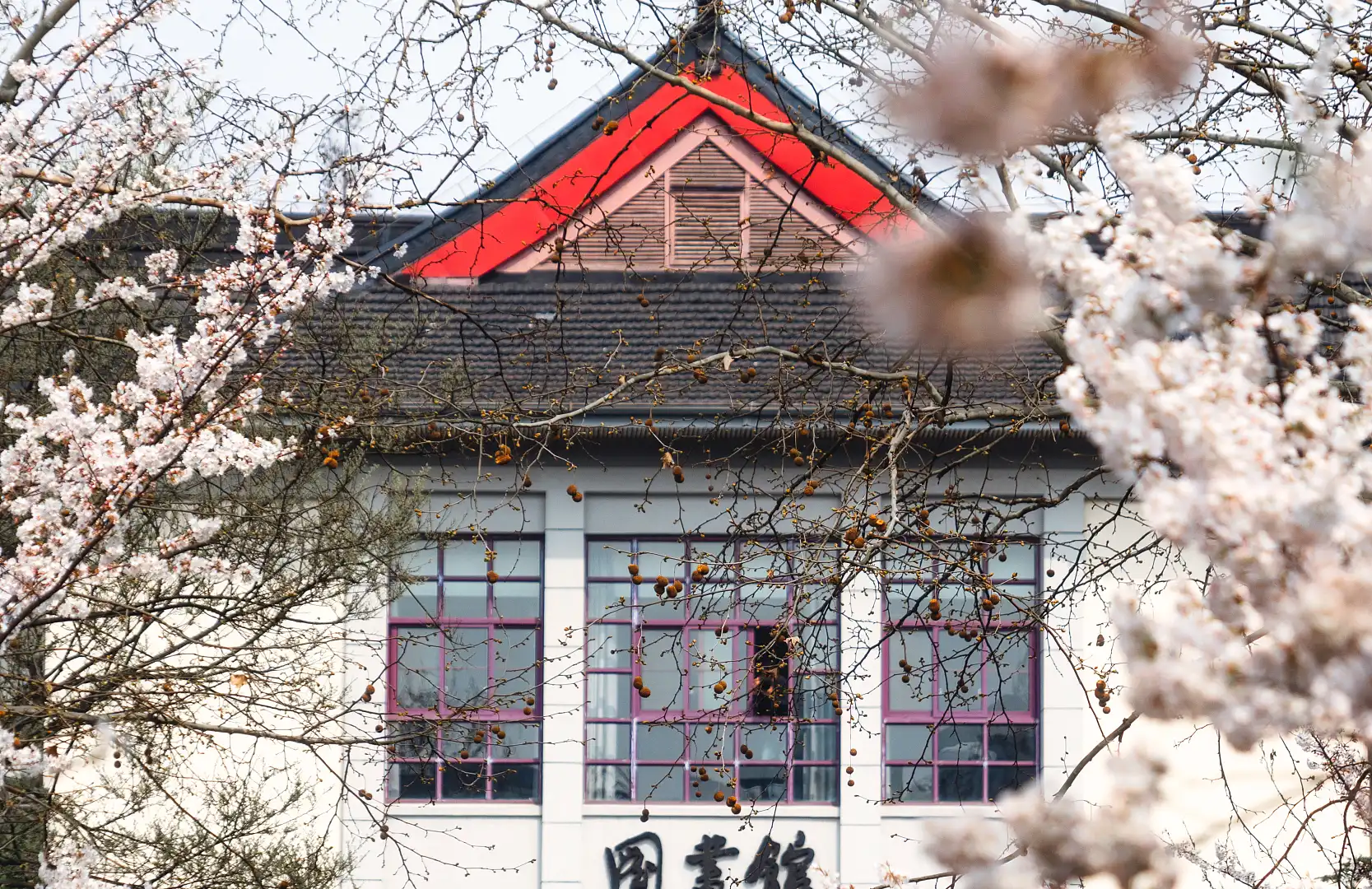 鄰近南京林業大學(新莊校區)的酒店