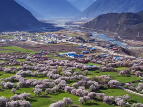 Bomi Peach Blossom Valley