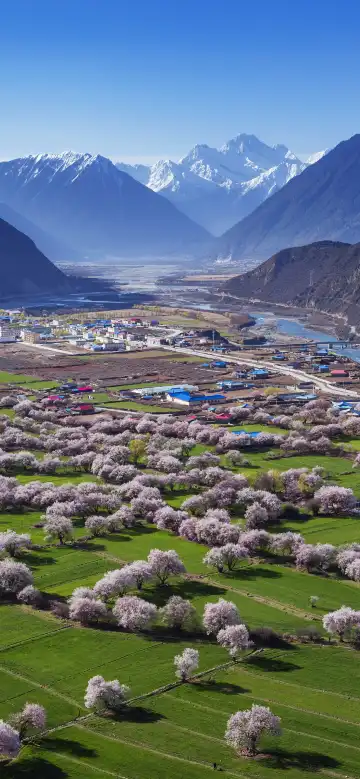 Hotels near Bomi Peach Blossom Valley