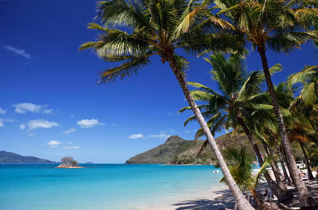 ${{cityDName}} to Hamilton Island Flights