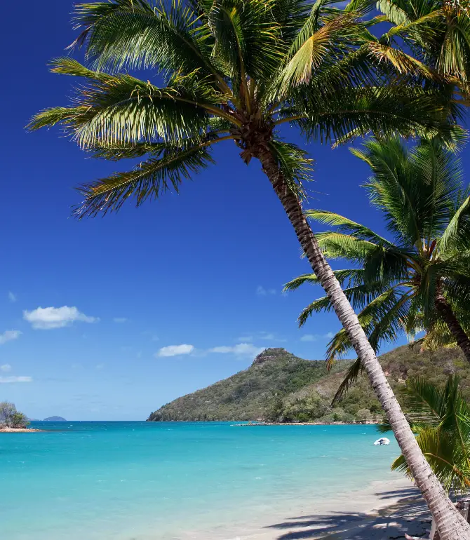 Hamilton Island
