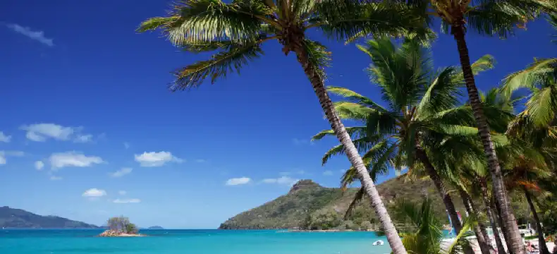 Hotels in Hamilton Island