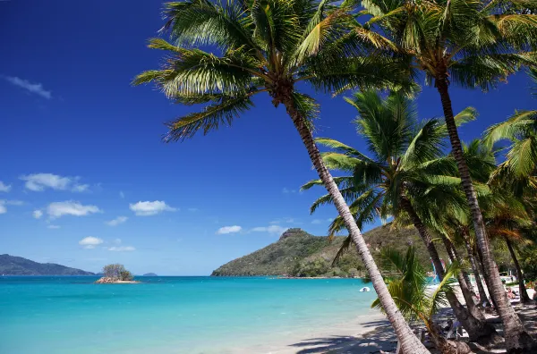 Flights to Hamilton Island