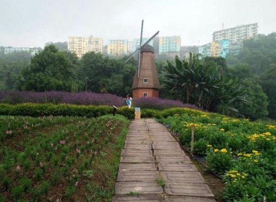 Qingxi Valley Tourist Area • Huatian Wineland Scenic Area