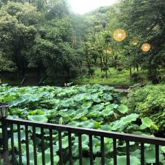 钰湘宴·剁椒鱼头王(岳麓望月公园店) User Photo
