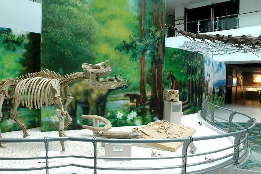 China University of Geosciences Museum