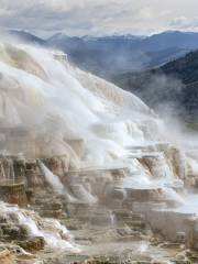 Mammoth Hot Springs