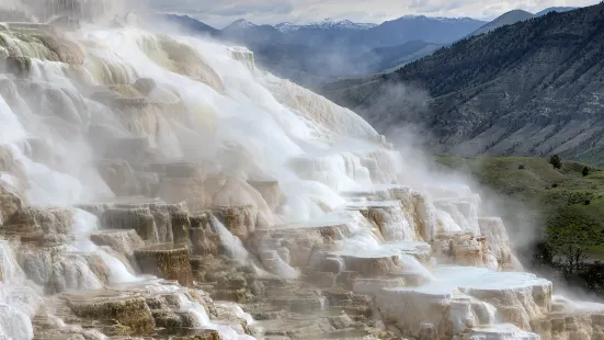 Mammoth Hot Springs