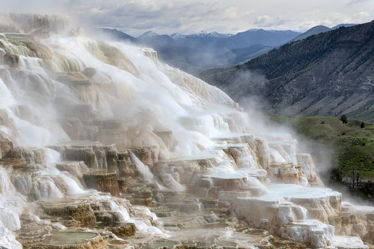 Mammoth Hot Springs