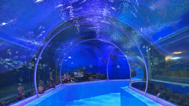 Qujing 218 Happy World