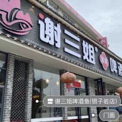 谢三姐啤酒鱼(银子岩店) User Photo
