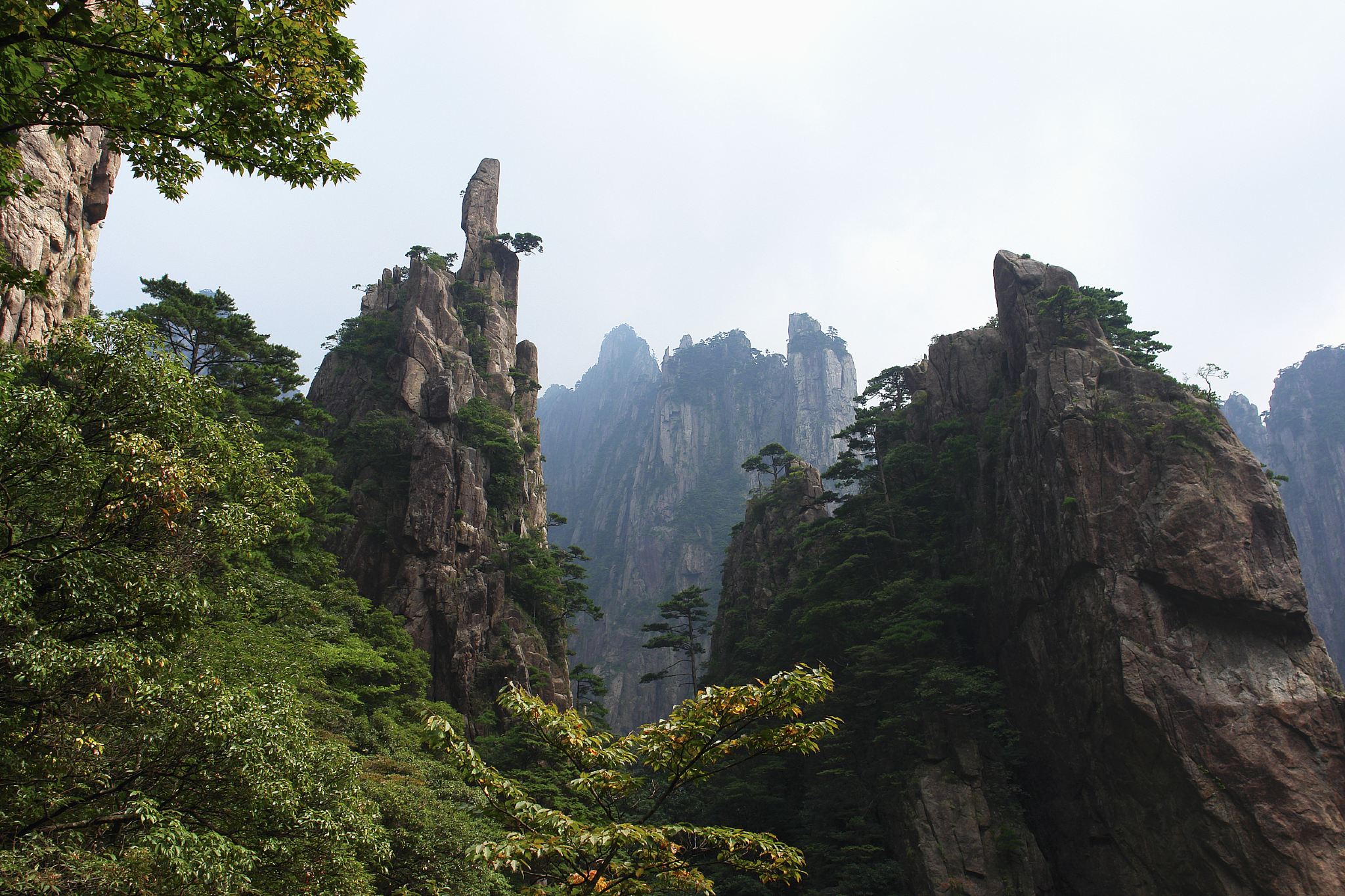 【黄山】一日観光　昼食付き＜日本語ガイド付き／送迎付き／1名催行＞