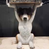 瑞士 | 熱鬧而又冷清 | 獨屬於伯爾尼的夜景