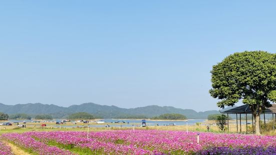 离广州最近的&lsquo;草原&rsquo;🤗席地草滩远眺