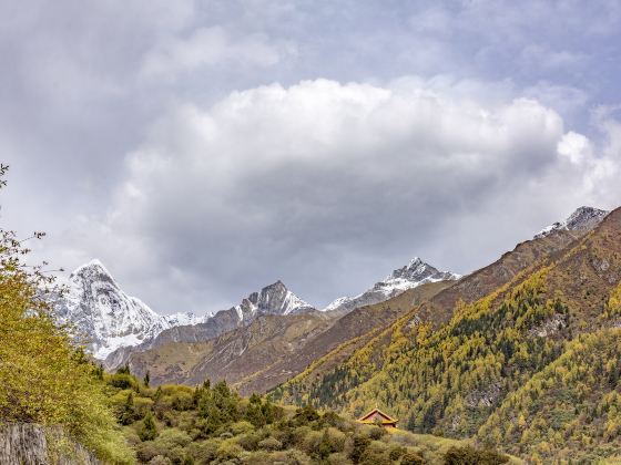 四姑娘山長坪溝景區