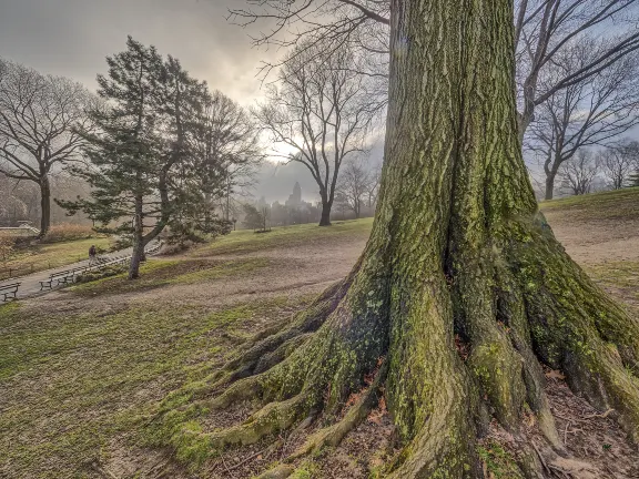 Отзывы об отеле Ella Nature Life Guest and Restaurant