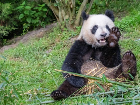 南通森林野生動物園