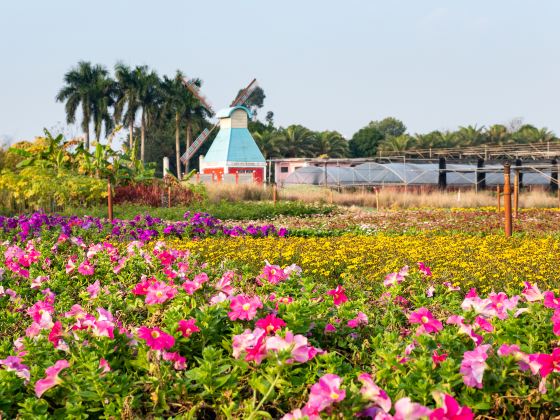 Nanningshi Huahui Park