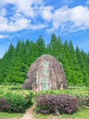 白馬夢幻水上樂園