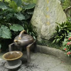 Zhong Dumplings User Photo