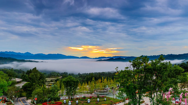 Bifengxia Wildlife Park